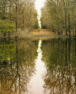 Suwanne Reflection Panoramic