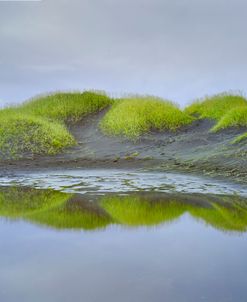 Prados Verdes