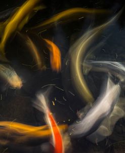 Movement 2