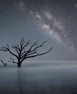 Milky Way In Botany Bay