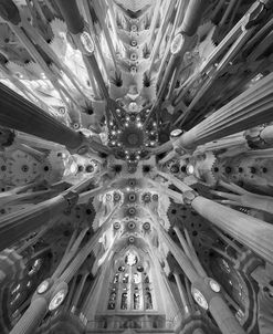 Sagrada 1