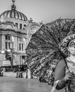 Bellas Artes Women