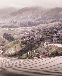 Rice Terraces 1