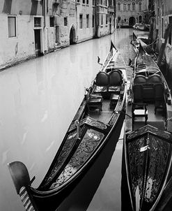 Venezia Pano 6-1