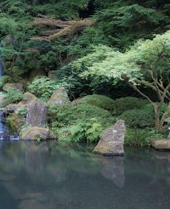 Japanese Garden 1