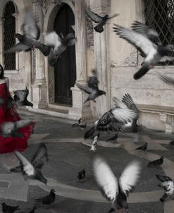 La mujer de las palomas