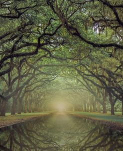 Wormsloe Avenue