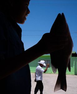 Fish-1