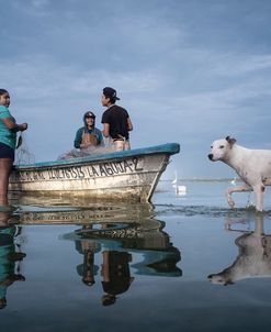 Fishermen Waters 16