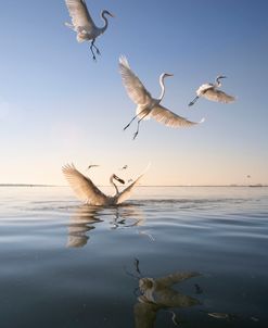 Fishermen-30