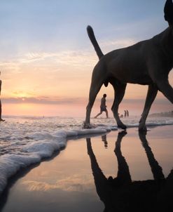 Beach_Games_-5