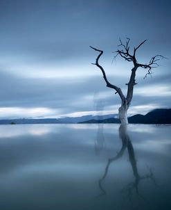 Hierve_El Agua_1_Color-2