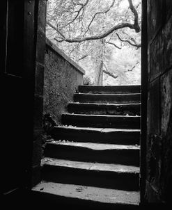 Chenonceaux