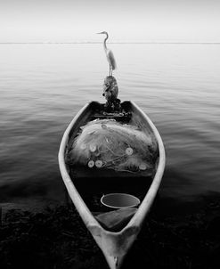 Canoe And A Heron