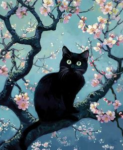 Black Cat On Peach