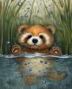Little Red Panda In The Water