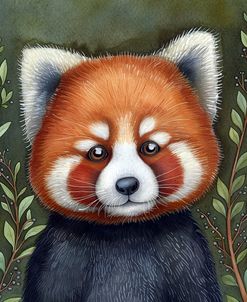 Red Panda Portrait