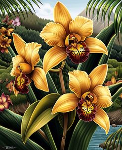 Yellow Tiger Orchids 2