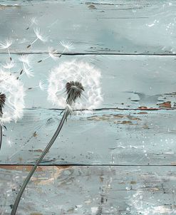 Dandelion On A Wooden Background