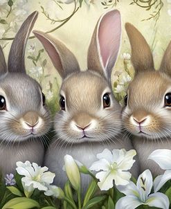 Brothers And Flowers 1