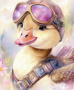 Flying Ducks 1