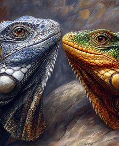 Pair Of Iguanas