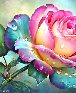 Rose With Water Droplets On It