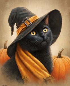 Black And Orange Cat (2)