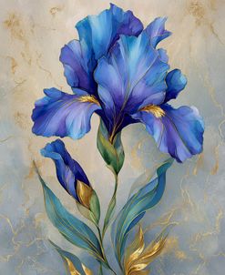 Blue And Gold Luxury Iris (3)