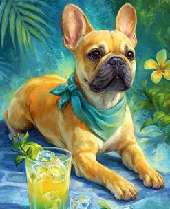 Mojito French Bulldog