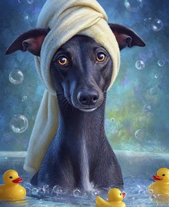 Greyhound In The Bathtub
