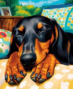 Black Dachshund Sleeping Autumn Portrait