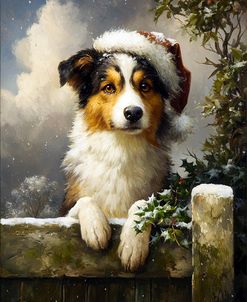 Australian Shepherd With Santa Hat