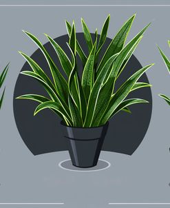 Vases Of Vector Plants