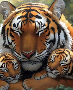 Happy Family Tiger 1