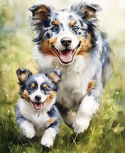 Fathers And Sons – Australian Shepherd