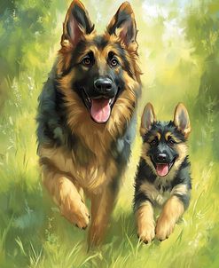 German Shepherd Fathers And Sons