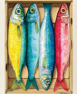 Fresh Catch