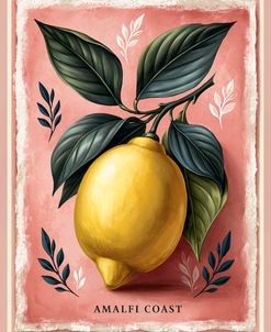 Amalfi Lemon