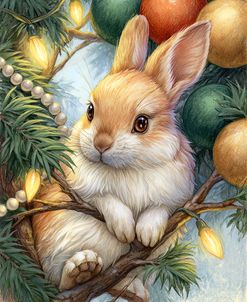 Among The Ornaments