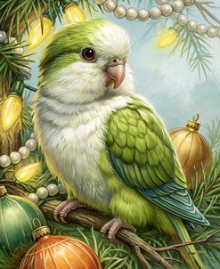 Christmas Parakeet