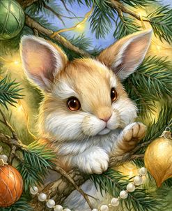 Christmas Peek