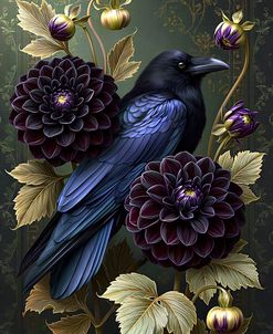 Midnight Dahlias and Crows (3)