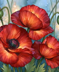Red Poppy Blooms (1)
