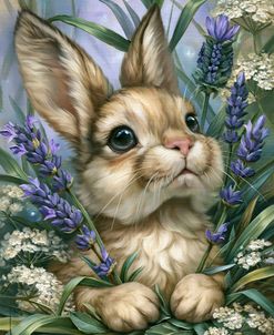 Autumn Garden Companions 2 – Little Rabbit