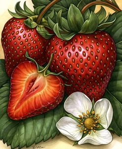 Strawberry Garden