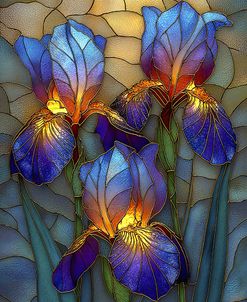 Stained Glass With Iris (1)