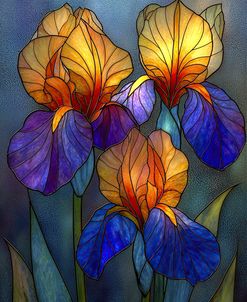 Stained Glass With Iris (2)