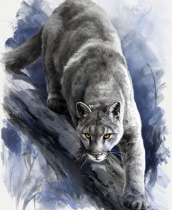 Gray Puma Wildlife Portrait