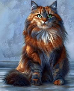 Long Haired Cat Elegant Portrait